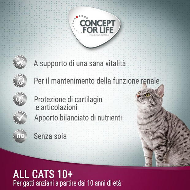 Concept for Life All Cats 10+ - in salsa 12 x 85 g